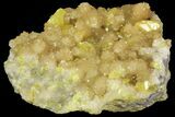 Sparkling Sulfur On Matrix Of Calcite Crystals - Poland #79235-2